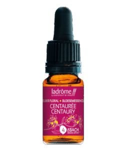 Gnavelle - Scleranthus (n°28) BIO, 10&nbsp;ml